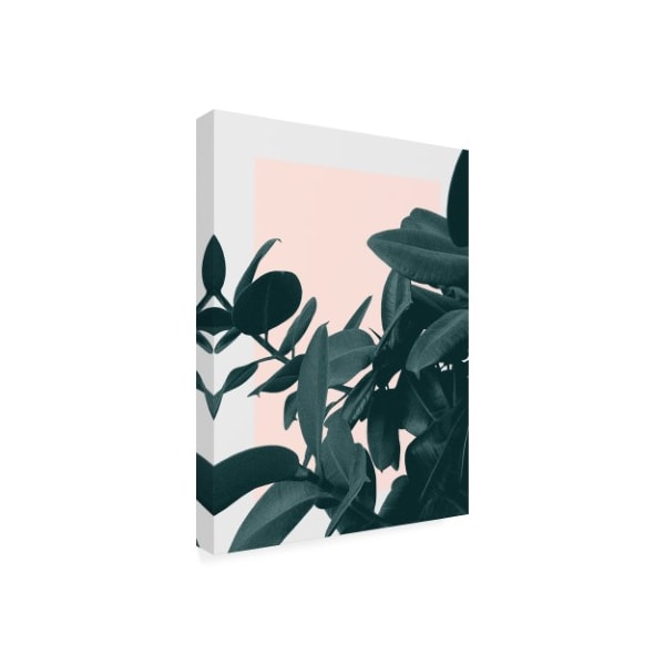 Hanna Kastl-Lungber 'Imagine Pink Plants' Canvas Art,35x47
